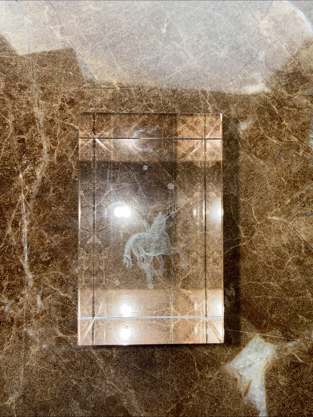 Clear Acrylic Unicorn Art Block - Crystal Clear Decor
